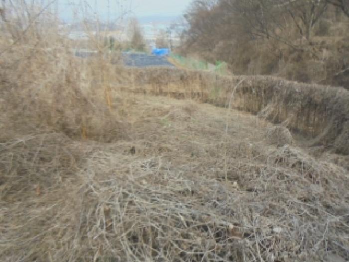 충북 충주시 용탄동 답 경매 물건 사진 3 · 2025타경30416