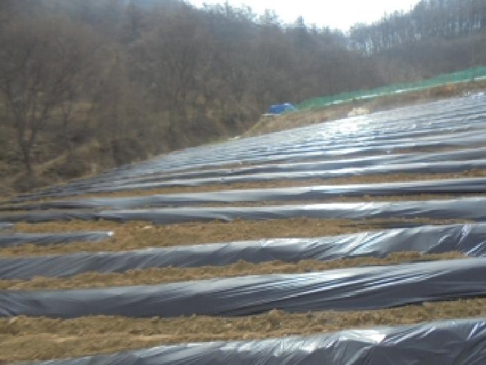 충북 충주시 용탄동 답 경매 물건 사진 4 · 2025타경30416