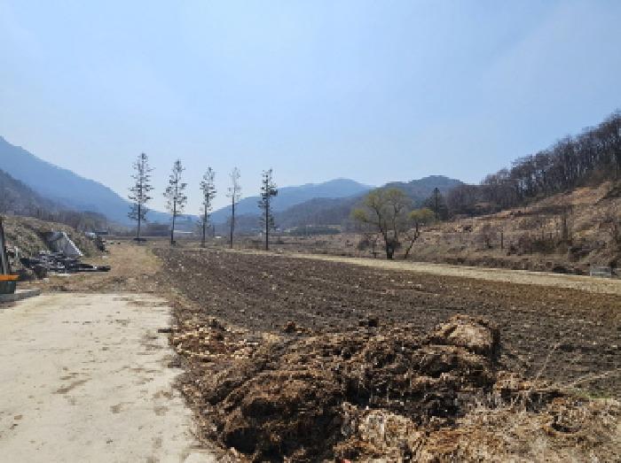 충북 충주시 앙성면 답 경매 물건 사진