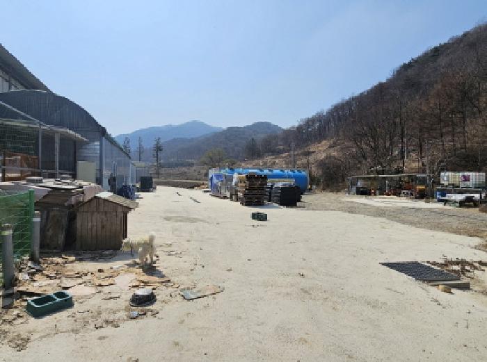 충북 충주시 앙성면 답 경매 물건 사진 2 · 2025타경30427