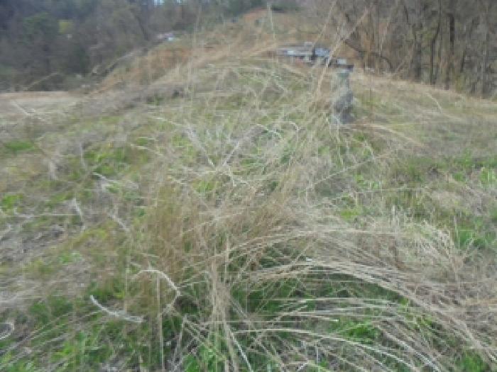 충북 충주시 연수동 전 경매 물건 사진