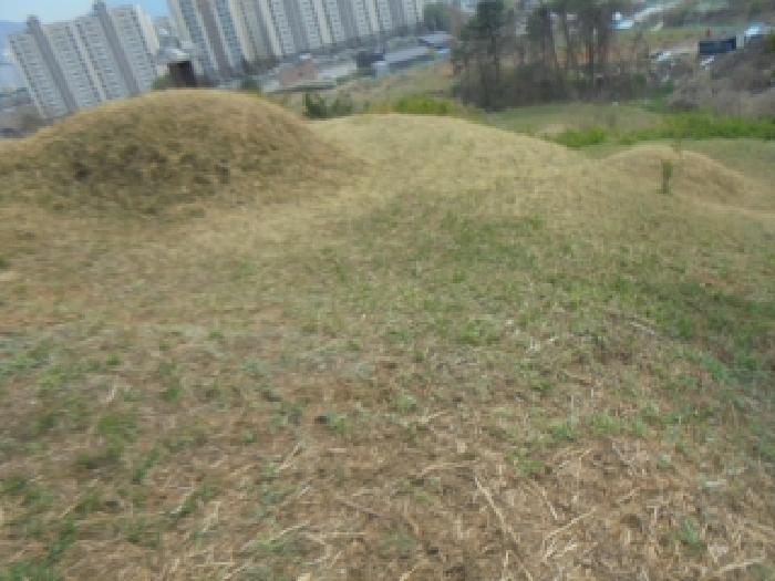 충북 충주시 연수동 전 경매 물건 사진 2 · 2025타경30447