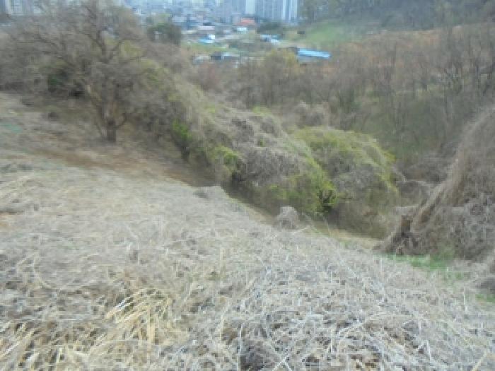 충북 충주시 연수동 전 경매 물건 사진 6 · 2025타경30447