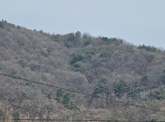 충북 충주시 앙성면 임야 경매 물건 사진 6 · 2025타경30453