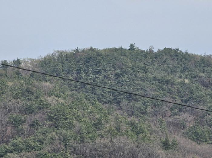 충북 충주시 앙성면 임야 경매 물건 사진