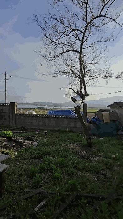 충북 충주시 주덕읍 단독주택 경매 물건 사진