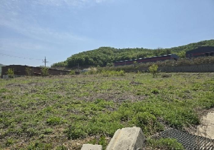 충북 음성군 감곡면 전 경매 물건 사진 2 · 2025타경30478