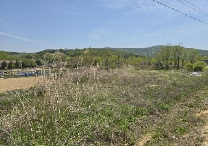 충북 음성군 감곡면 전 경매 물건 사진 5 · 2025타경30478