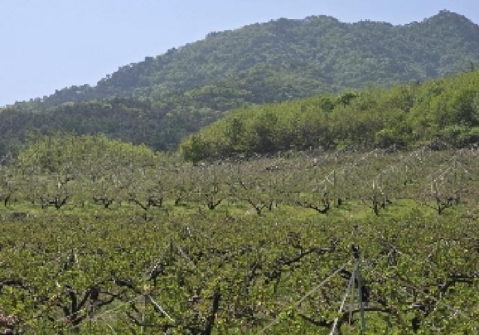 충북 충주시 앙성면 잡종지 경매 물건 사진 2 · 2025타경30490
