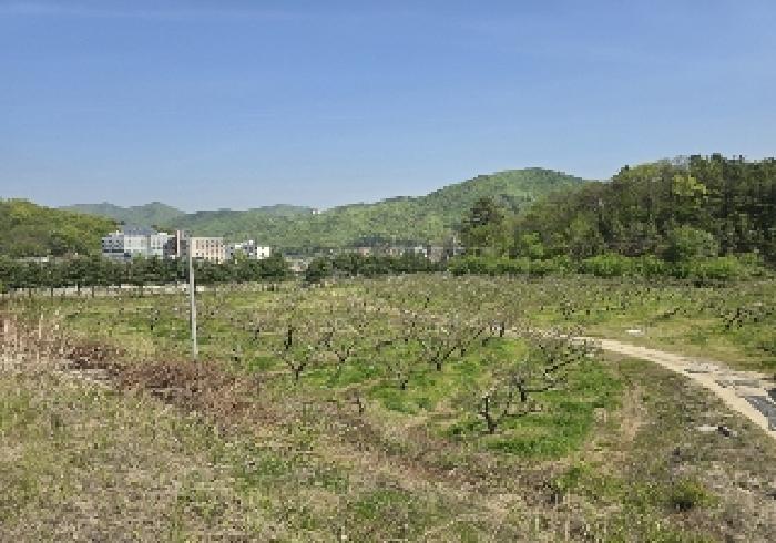 충북 충주시 앙성면 잡종지 경매 물건 사진 3 · 2025타경30490