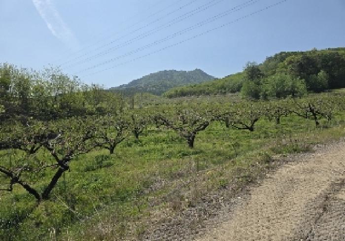 충북 충주시 앙성면 잡종지 경매 물건 사진 4 · 2025타경30490