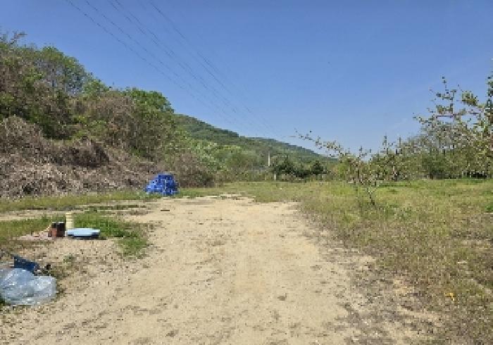 충북 충주시 앙성면 잡종지 경매 물건 사진 6 · 2025타경30490
