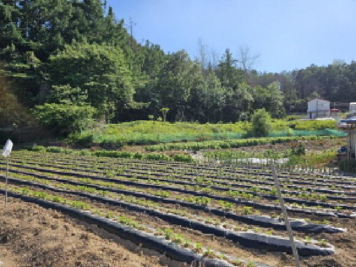 충북 충주시 대소원면 동물및식물관련시설 경매 물건 사진