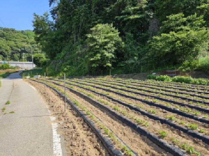 충북 충주시 대소원면 동물및식물관련시설 경매 물건 사진 5 · 2025타경30497