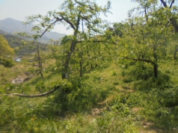 충북 충주시 산척면 답 경매 물건 사진 6 · 2025타경30506