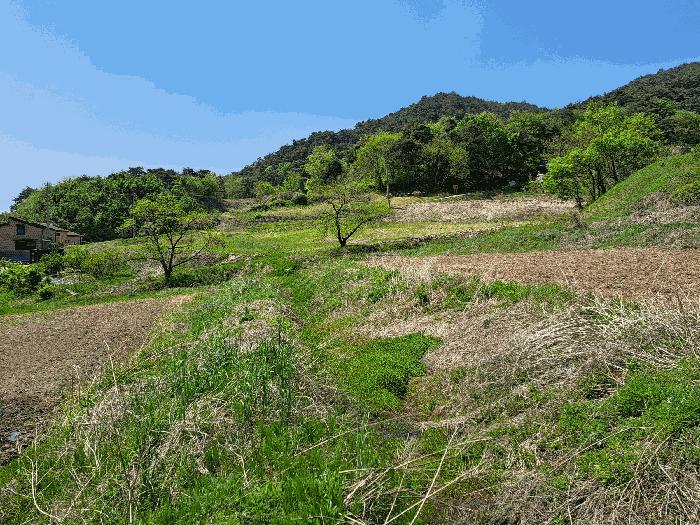충북 충주시 산척면 전 경매 물건 사진 2 · 2025타경30506