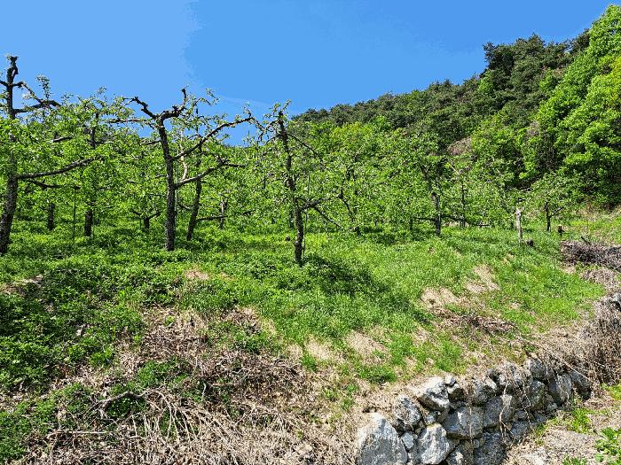 충북 충주시 산척면 답 경매 물건 사진 6 · 2025타경30506