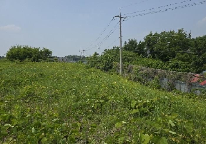 충북 음성군 맹동면 답 경매 물건 사진 4 · 2025타경30544