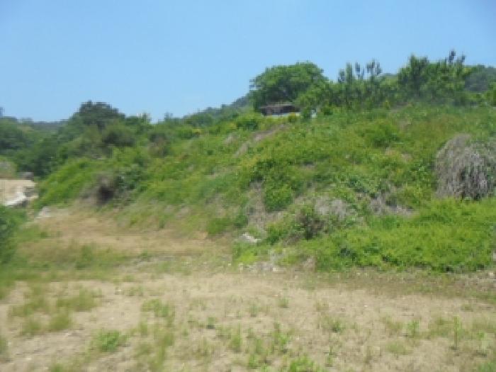 충북 충주시 엄정면 답 경매 물건 사진 4 · 2025타경30550