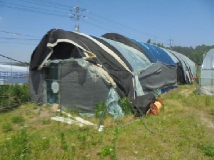 충북 충주시 산척면 답 경매 물건 사진