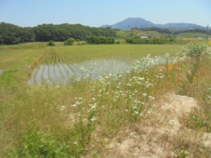 충북 충주시 산척면 답 경매 물건 사진 5 · 2025타경30555