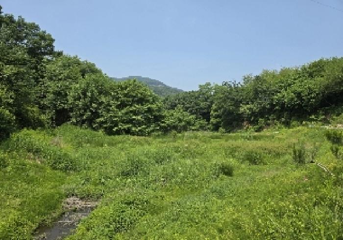 충북 충주시 소태면 답 경매 물건 사진 4 · 2025타경30567