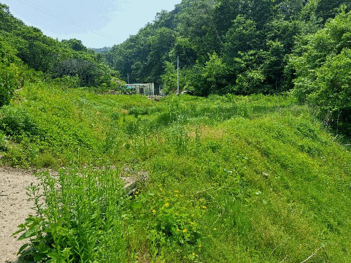 충북 충주시 소태면 답 경매 물건 사진