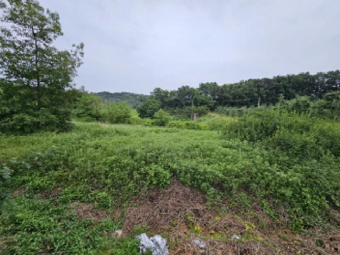 충북 충주시 주덕읍 전 경매 물건 사진 2 · 2025타경30580