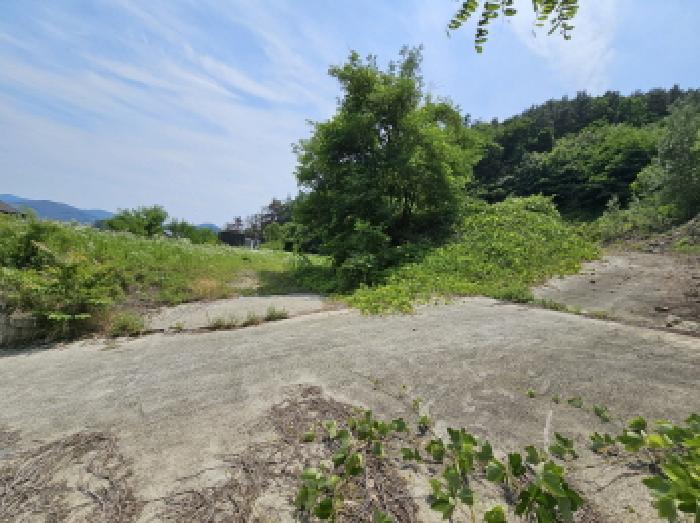 충북 음성군 금왕읍 도로 경매 물건 사진