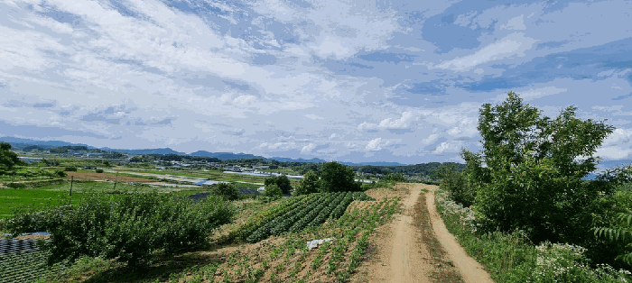 충북 충주시 금가면 전 경매 물건 사진 6 · 2025타경30609