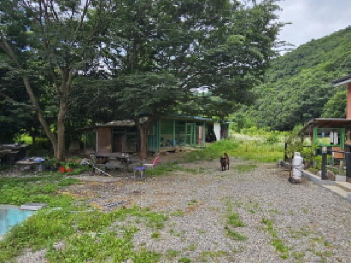 충북 충주시 수안보면 다가구주택 경매 물건 사진 5 · 2025타경30612
