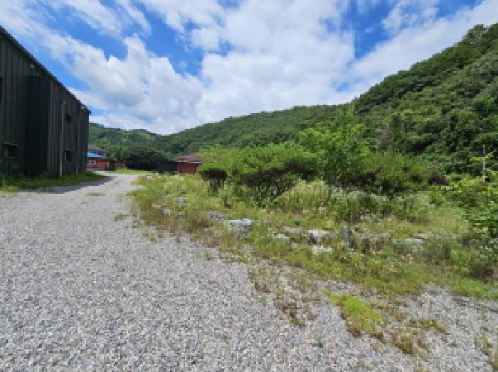 충북 충주시 수안보면 다가구주택 경매 물건 사진 6 · 2025타경30612