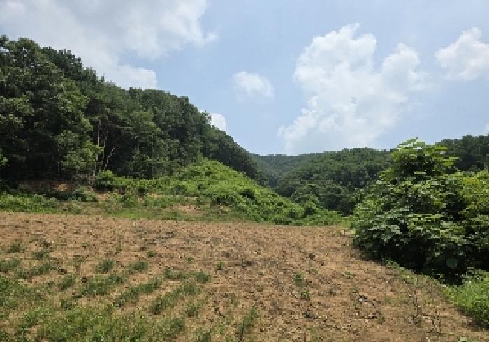 충북 충주시 엄정면 임야 경매 물건 사진