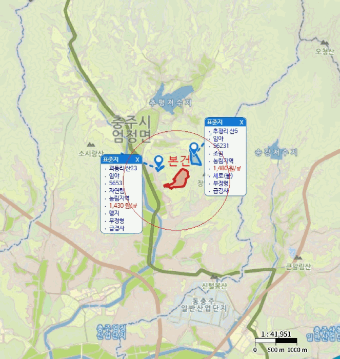 충북 충주시 엄정면 임야 경매 물건 사진 6 · 2025타경30615