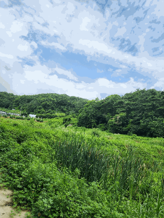 충북 충주시 앙성면 답 경매 물건 사진 5 · 2025타경30627