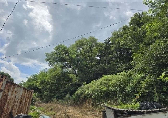 충북 충주시 대소원면 임야 경매 물건 사진 5 · 2025타경30646