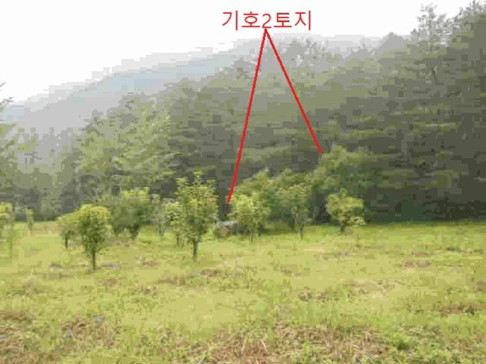 충북 충주시 대소원면 임야 경매 물건 사진
