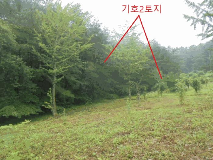 충북 충주시 대소원면 임야 경매 물건 사진 4 · 2025타경30646