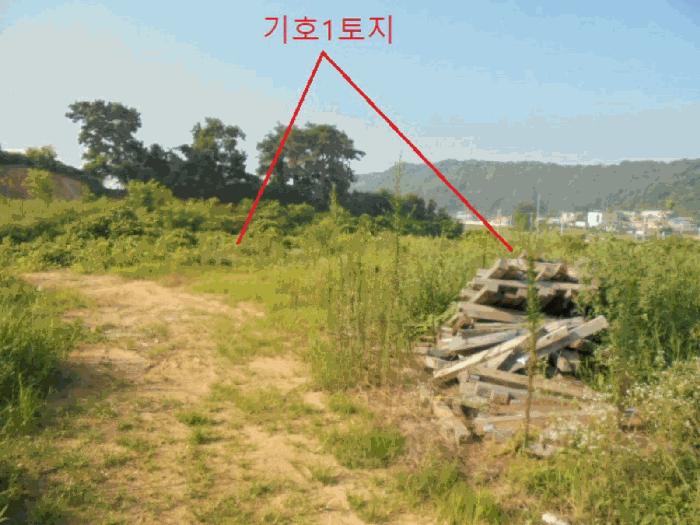 충북 음성군 대소면 임야 경매 물건 사진