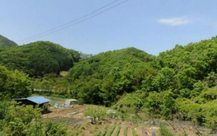 충북 충주시 대소원면 전 경매 물건 사진