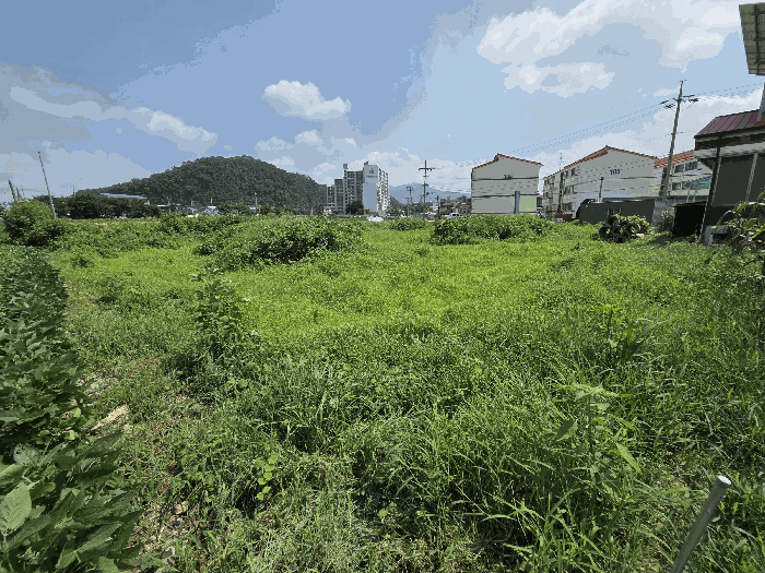 충북 음성군 감곡면 답 경매 물건 사진 6 · 2025타경30674