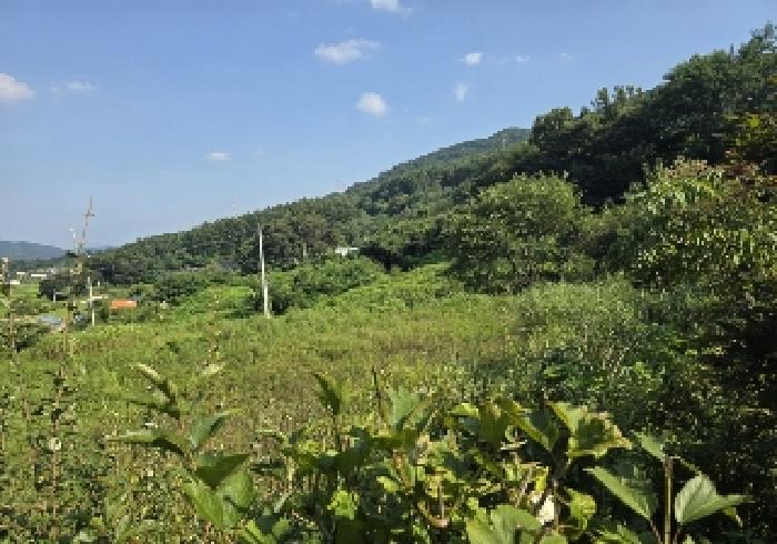 충북 충주시 앙성면 전 경매 물건 사진 4 · 2025타경30696