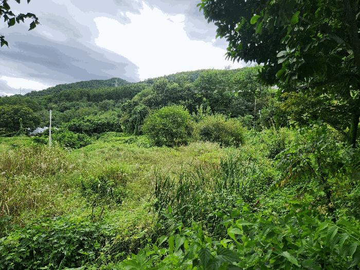 충북 충주시 앙성면 답 경매 물건 사진 5 · 2025타경30696
