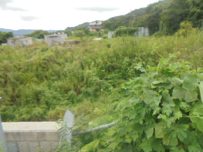 충북 충주시 앙성면 전 경매 물건 사진 2 · 2025타경30697