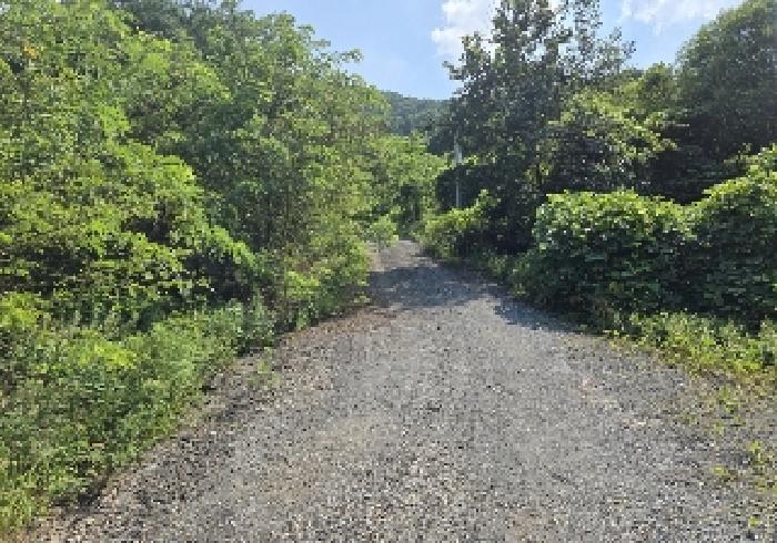 충북 충주시 앙성면 임야 경매 물건 사진 3 · 2025타경30700