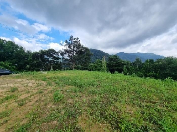 충북 충주시 동량면 전 경매 물건 사진 6 · 2025타경30727