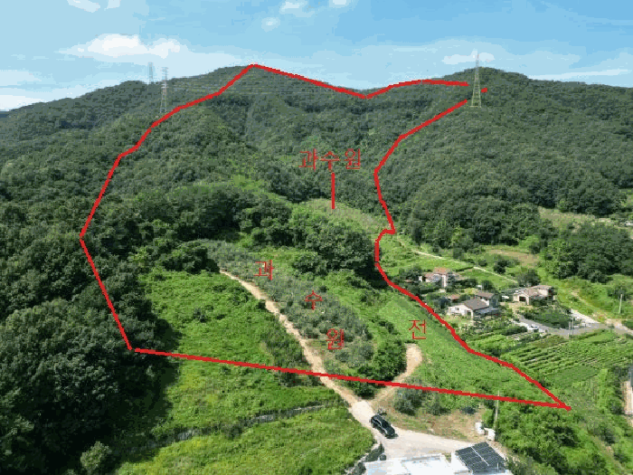충북 충주시 주덕읍 임야 경매 물건 사진 3 · 2025타경30733