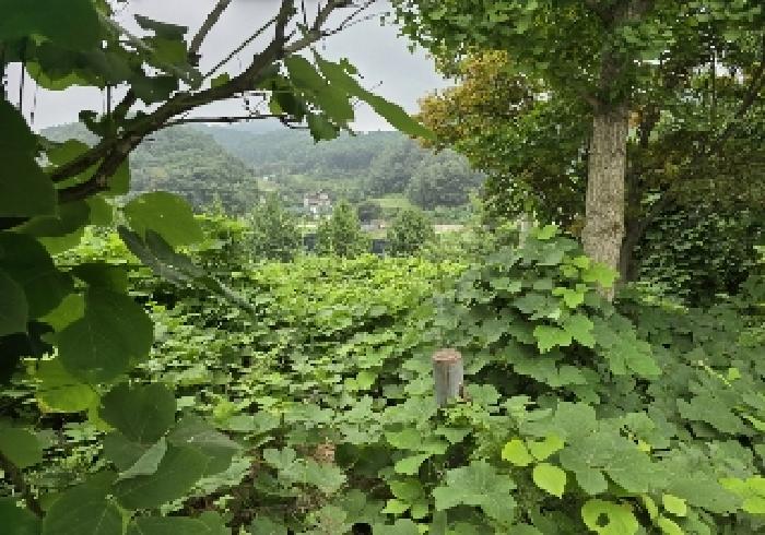 충북 음성군 원남면 공장/지식산업센터 경매 물건 사진 2 · 2025타경30754