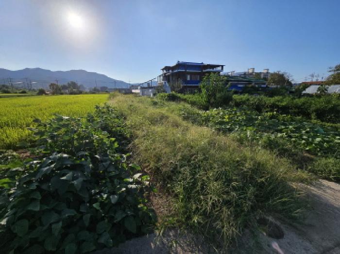 충북 충주시 풍동 대지,임야,전답 경매 물건 사진