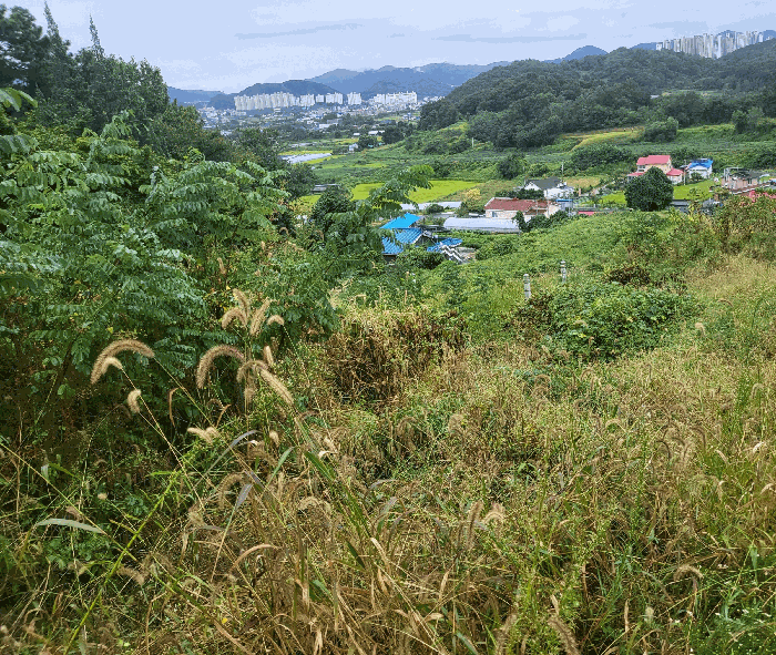 충북 음성군 생극면 임야 경매 물건 사진 5 · 2025타경30780